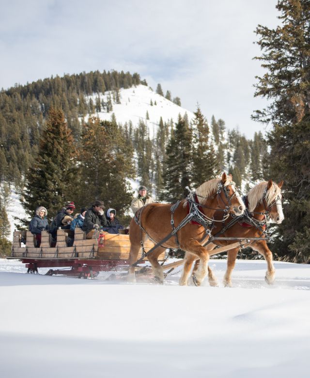 A team of two horses pull a sleigh full of people through snow covered trails with pine trees and mountains in the background